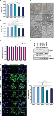 Isolation and Characterization of Five Severe Acute Respiratory Syndrome Coronavirus 2 Strains of Different Clades and Lineages Circulating in Eastern India